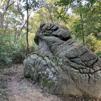 風吹岩から蛙岩方面へ
この後芦屋川駅まで無事カエル🐸
おつかれ山でした⛰️
