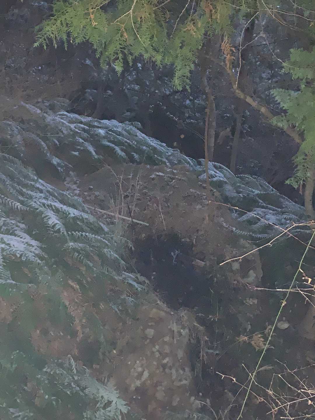 寒い🥶でも　風が吹いていないからまだいけるかな😊
何時もの獅子脅しが真っ暗で見えない。