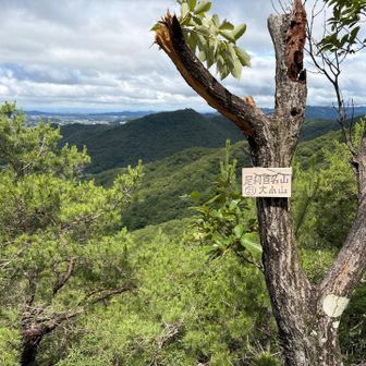 良い景色だー⛰️