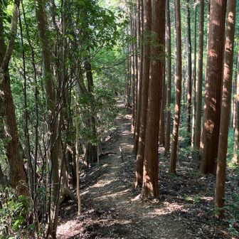 無事に下りて進みます。