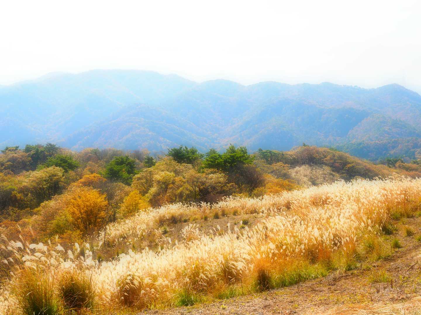 るり渓深山ハイキングコース入口-深山-舩谷山-興山-掃雲峰 周回コースの写真