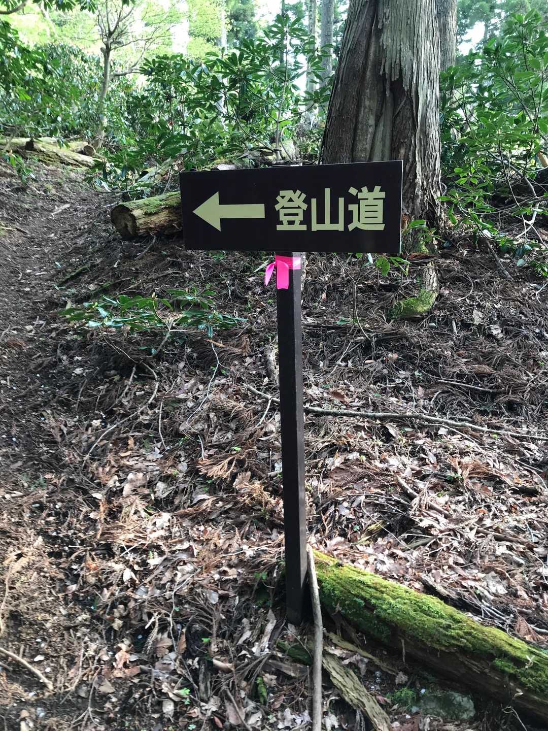 ところどころに登山道の案内が有りました🙏