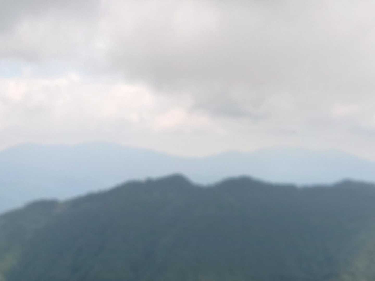 奥に禿岳