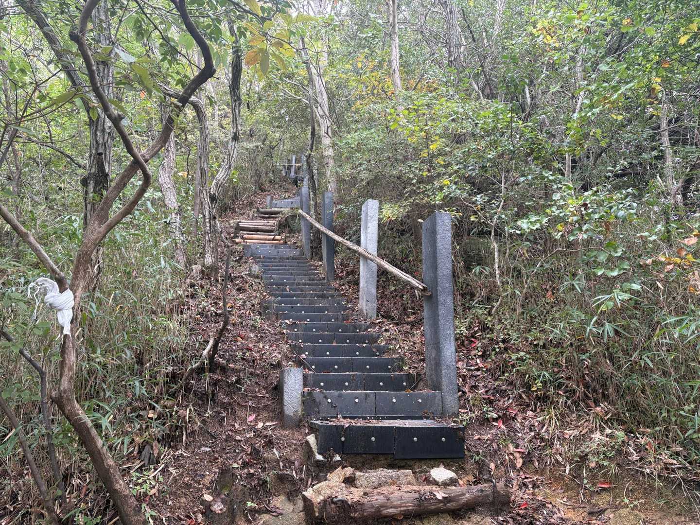 鵯越駅-石井ダム登山口-菊水山-鍋蓋山-再度越-大竜寺バス 縦走コースの写真