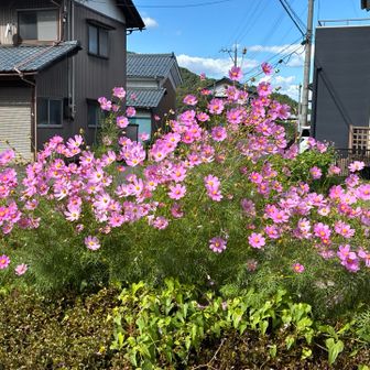 何箇所かでスリップしたものの無事下山。