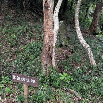 山城らしく、起伏に富んでいます