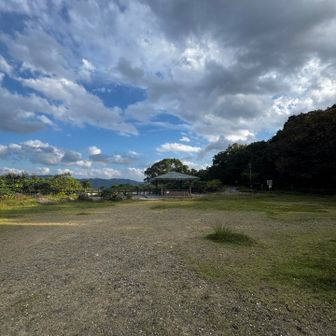 山頂見たいだけど