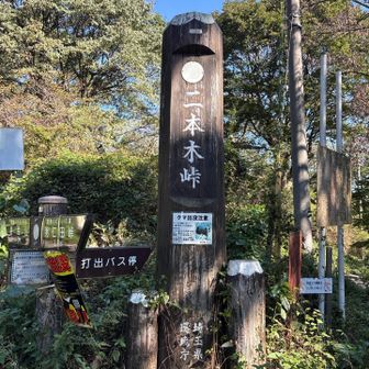 二本木峠までの舗装路歩きが長い。