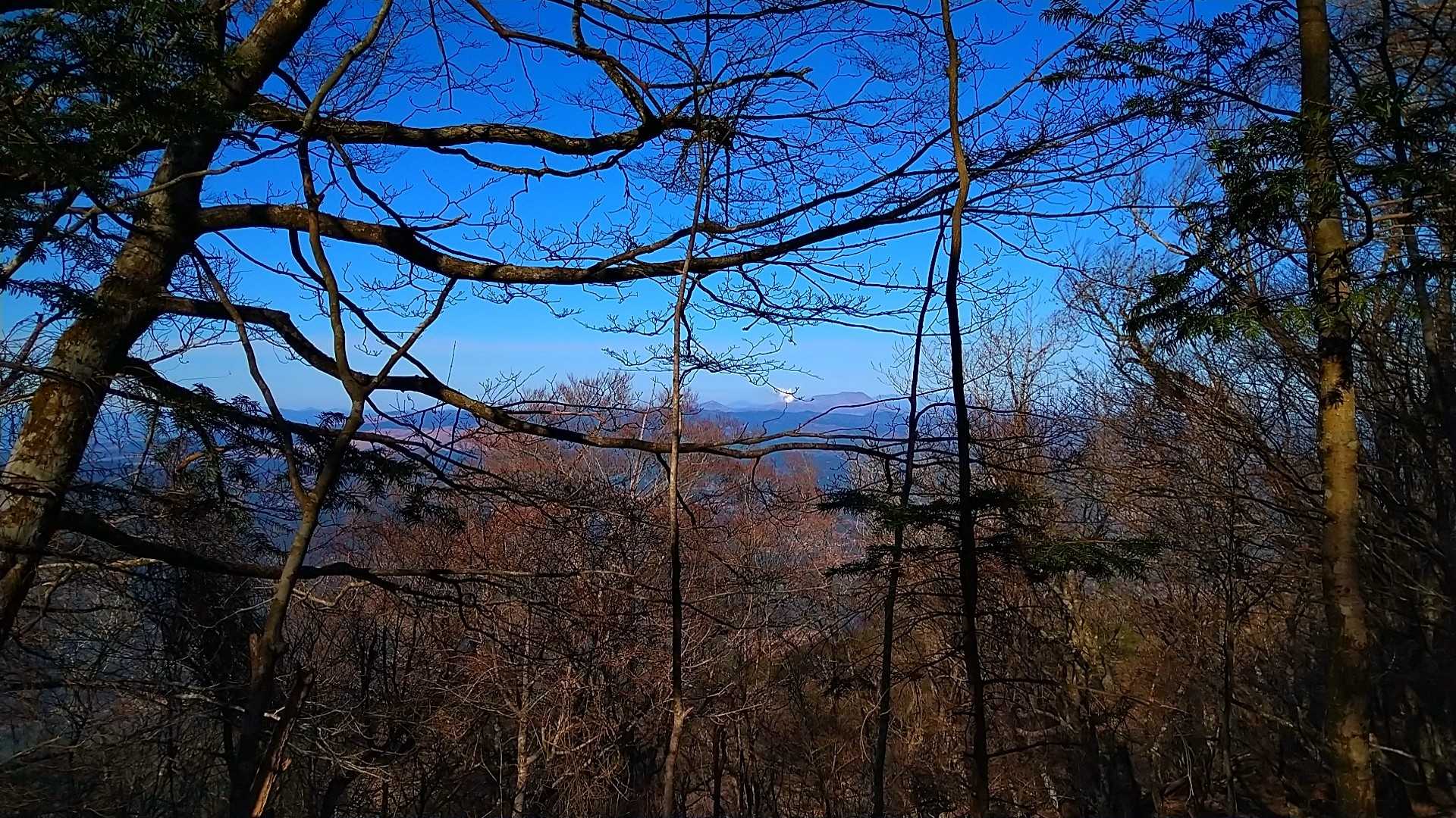青石登山口-目丸山 往復コースの写真