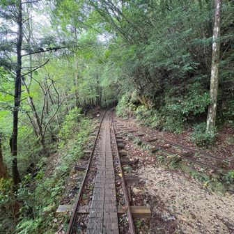 延々と続くトロッコ道🚃