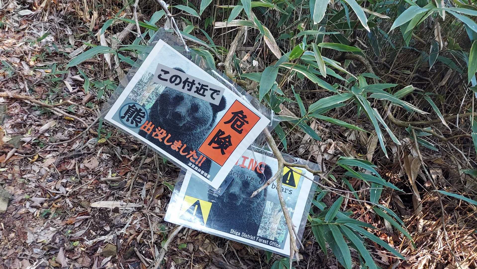 熊🐻出没⚠️