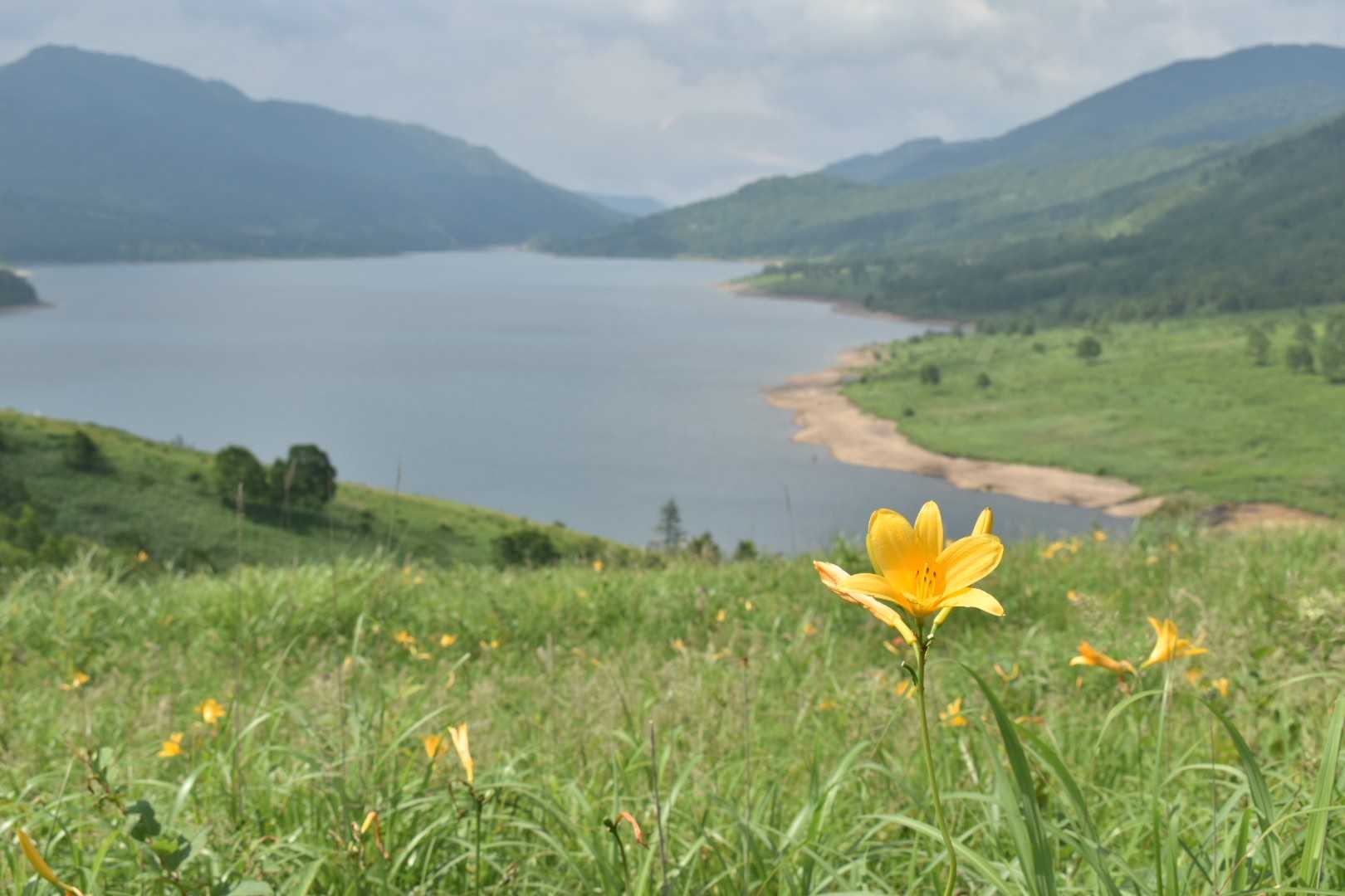 弁天山-高沢山-三壁山-野反湖ビジターセンター 周回コースの写真