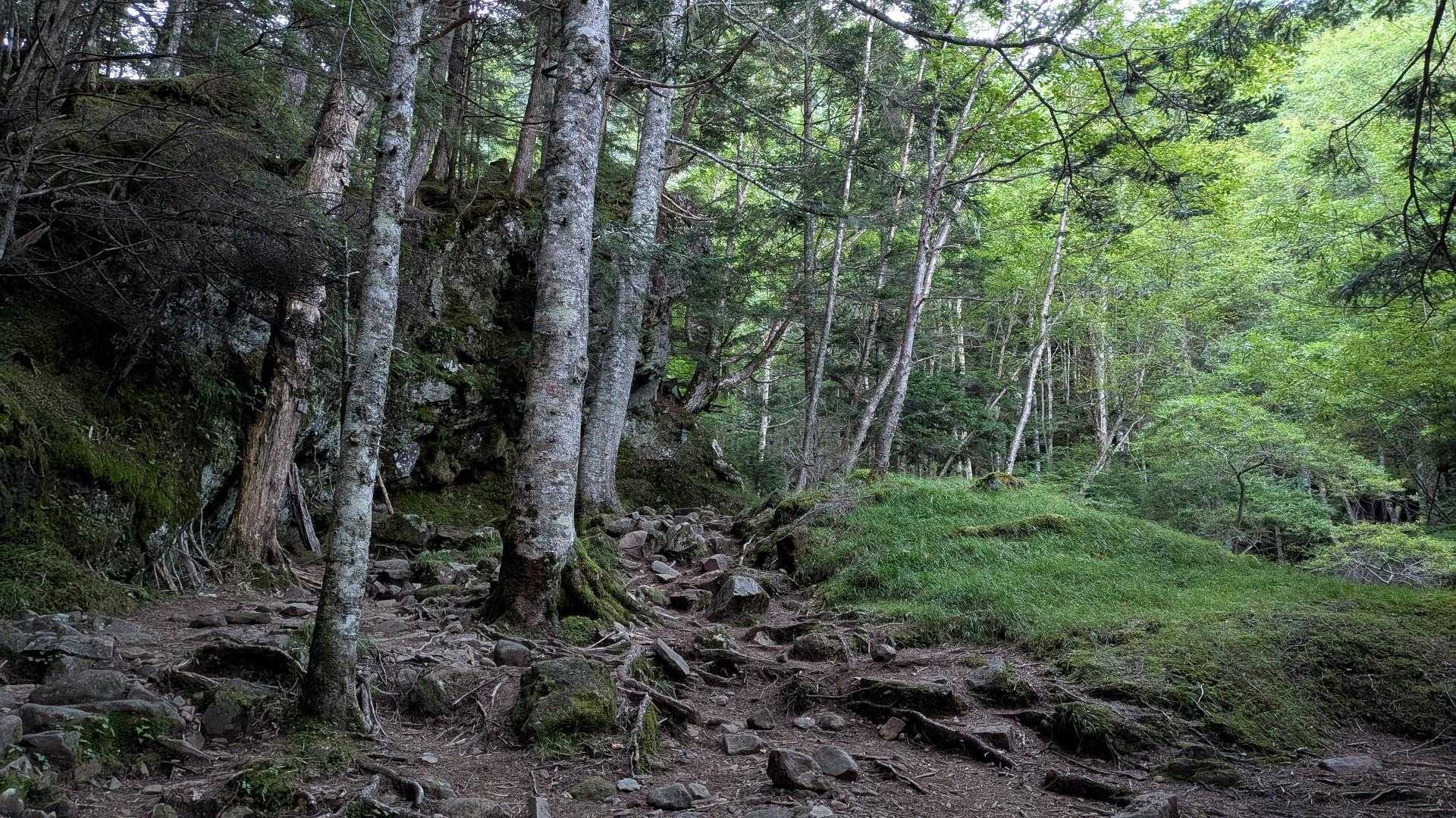 凄い世界だ🤩