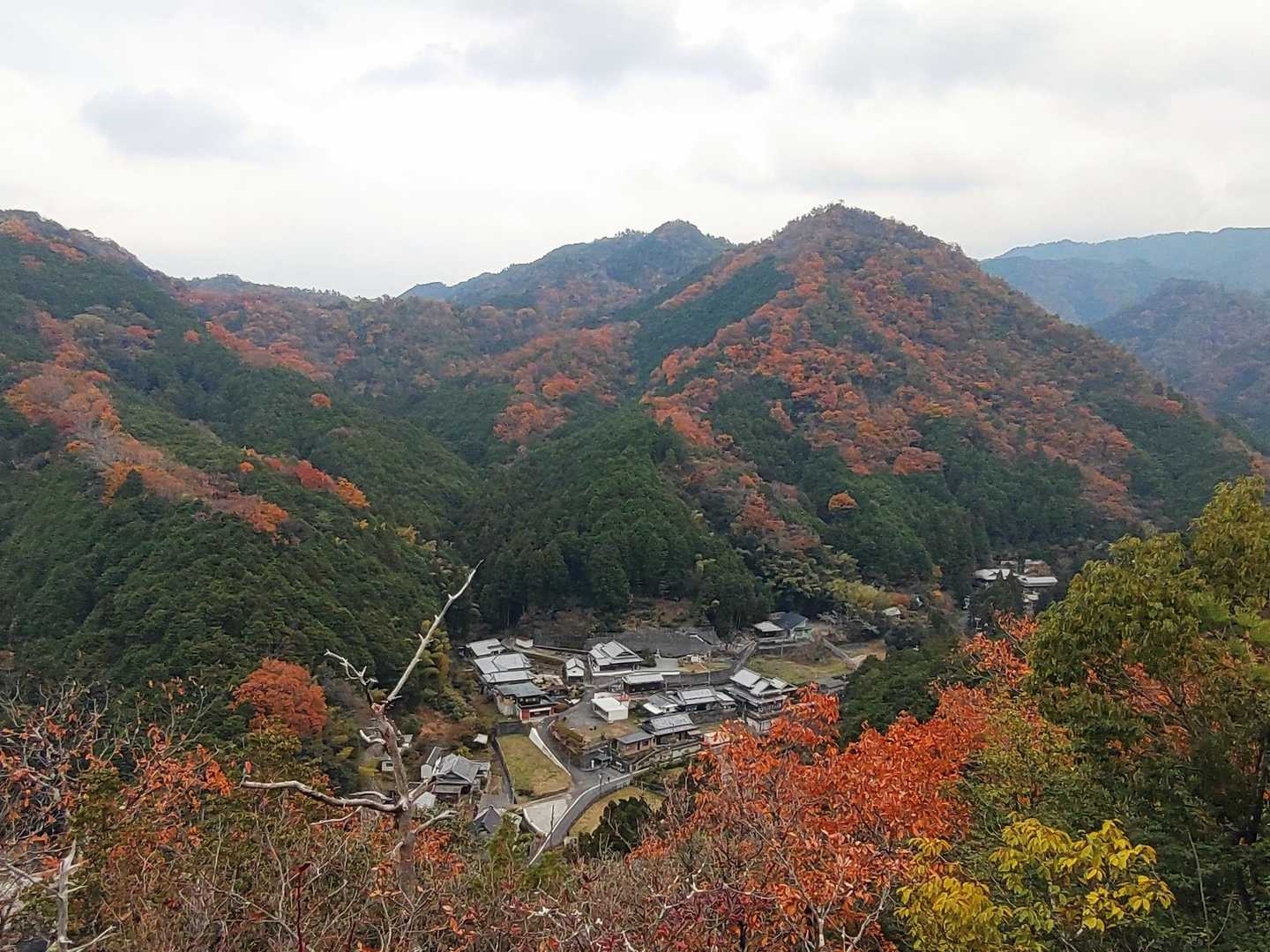 鐘山から良い景色が見えます
