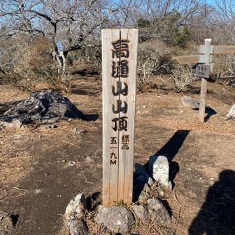 山頂
低いけど、それまでの登り下りが多くまあまあ疲れます