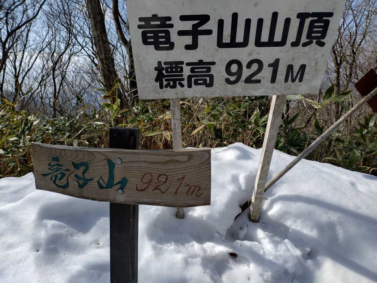 山頂！眺望は木の間から。
