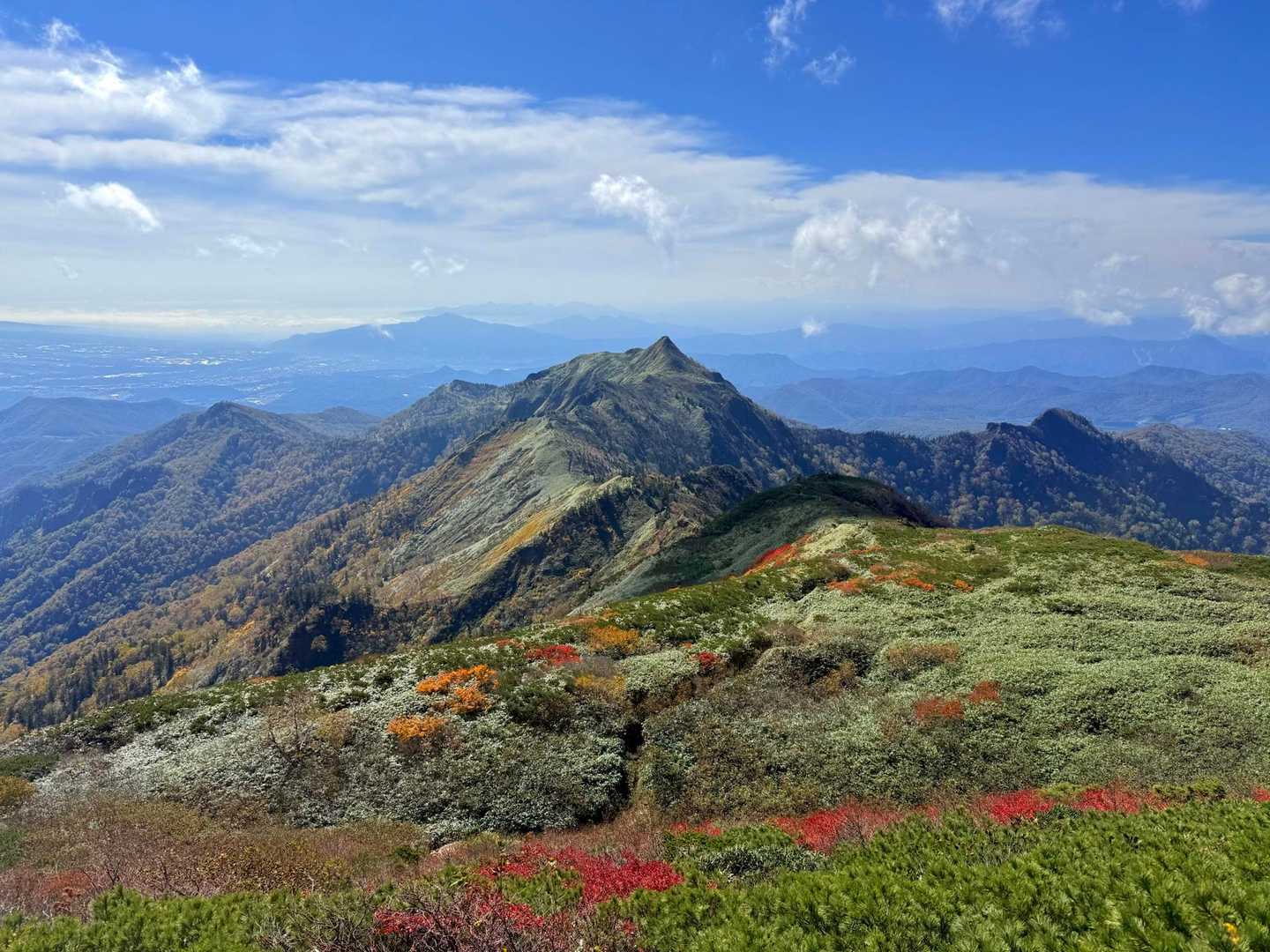 ご褒美の絶景✨
樹林帯続きの残念感を一気に吹っ飛ばしてくれた😆