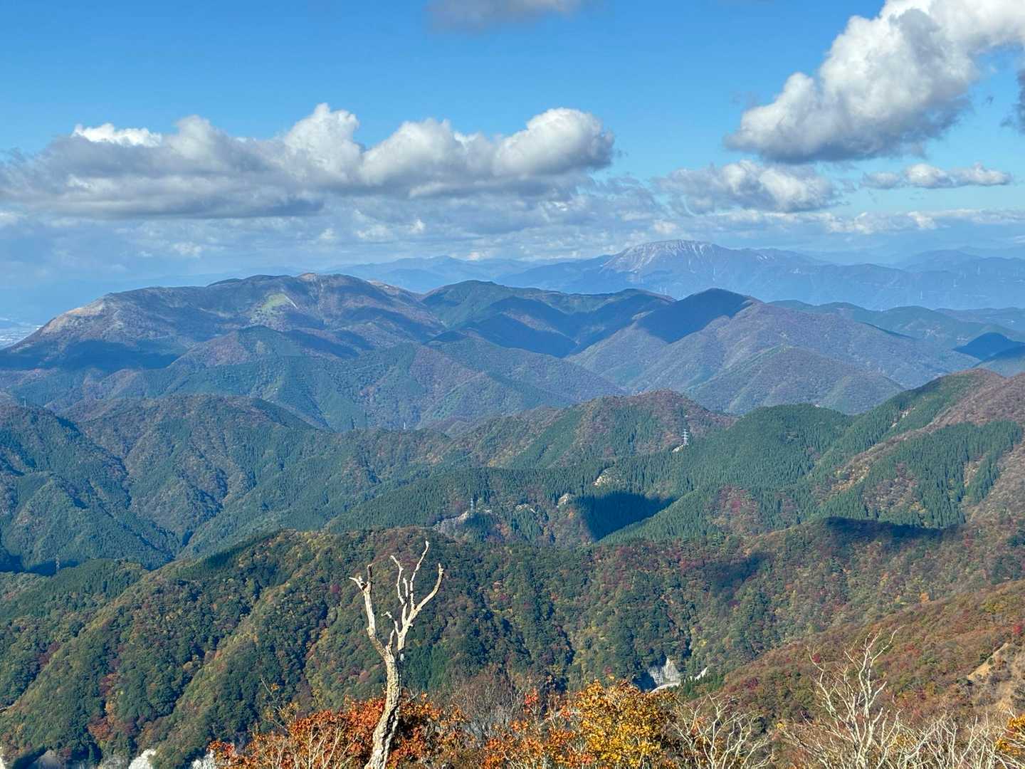 恋しい伊吹山〜😭