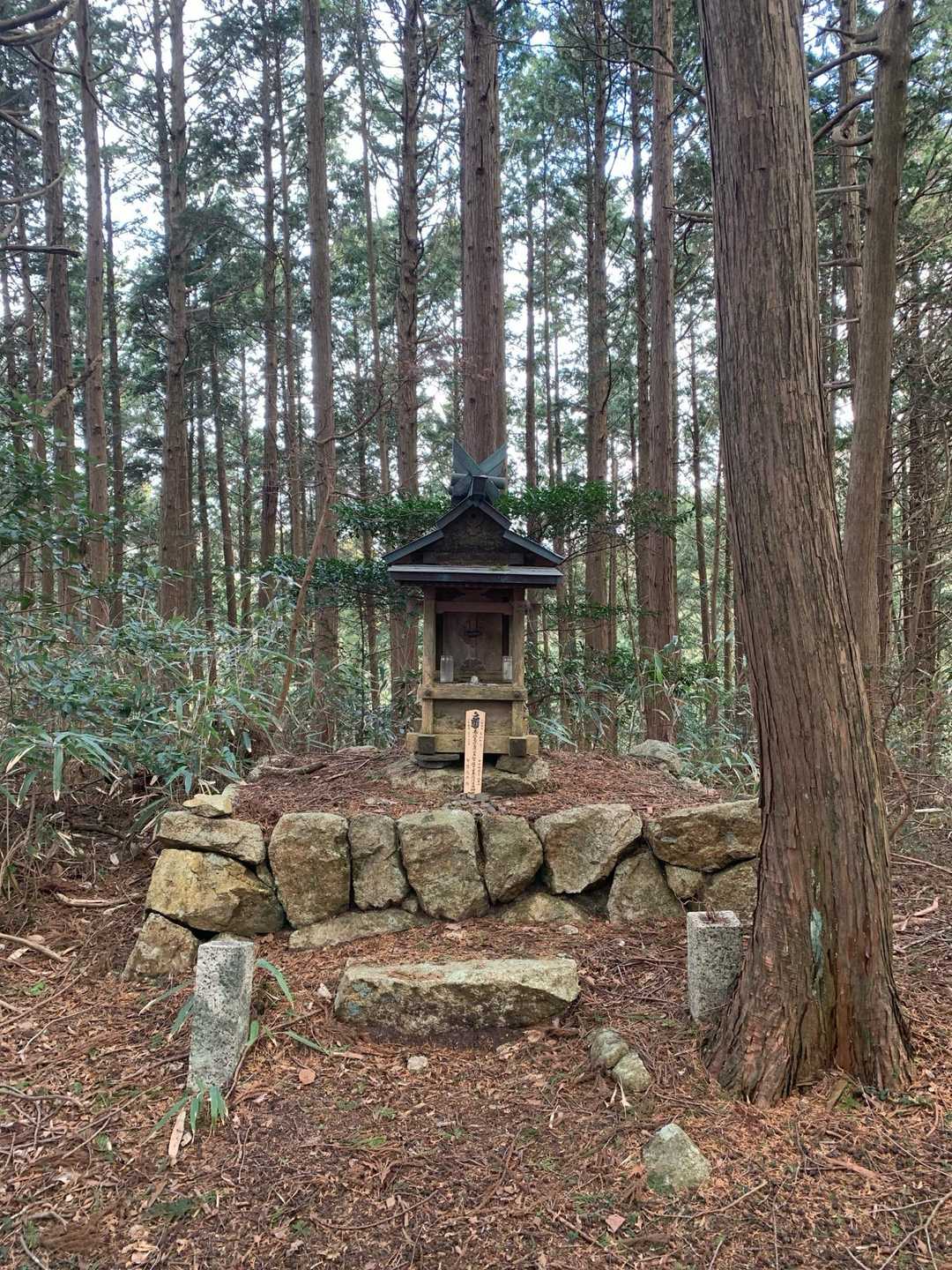 祠が