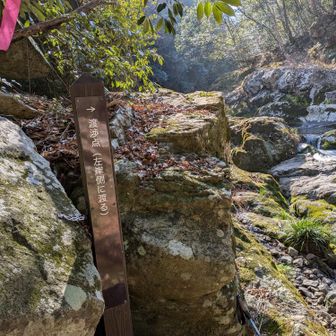 渡河ポイントきたきた〜♪