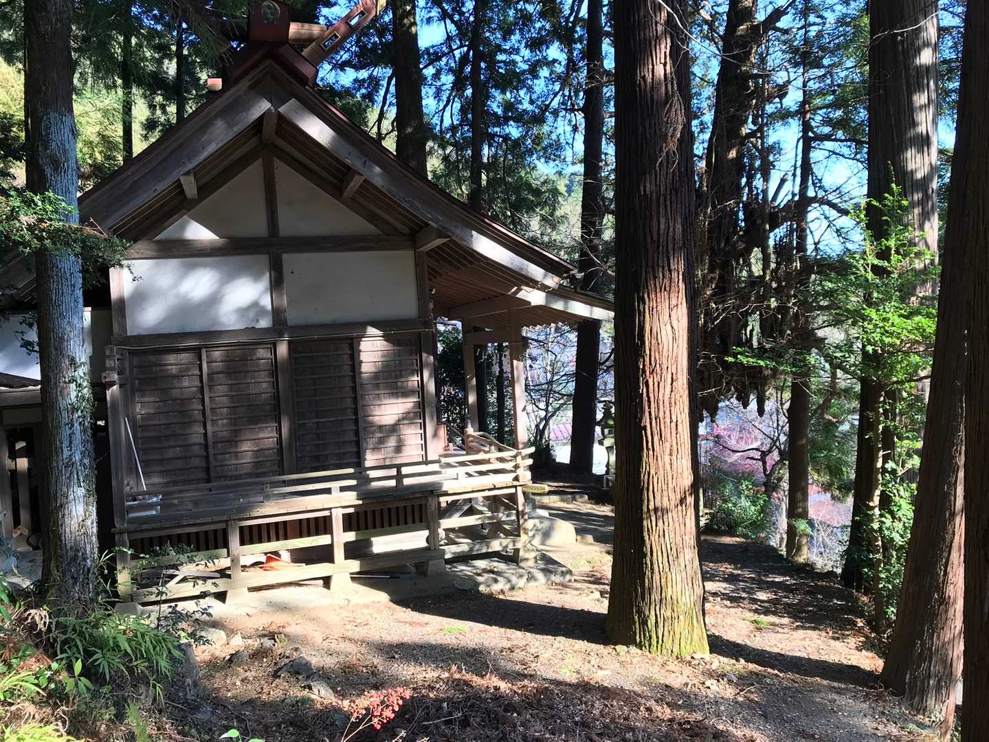 神社でお礼を言って終了です