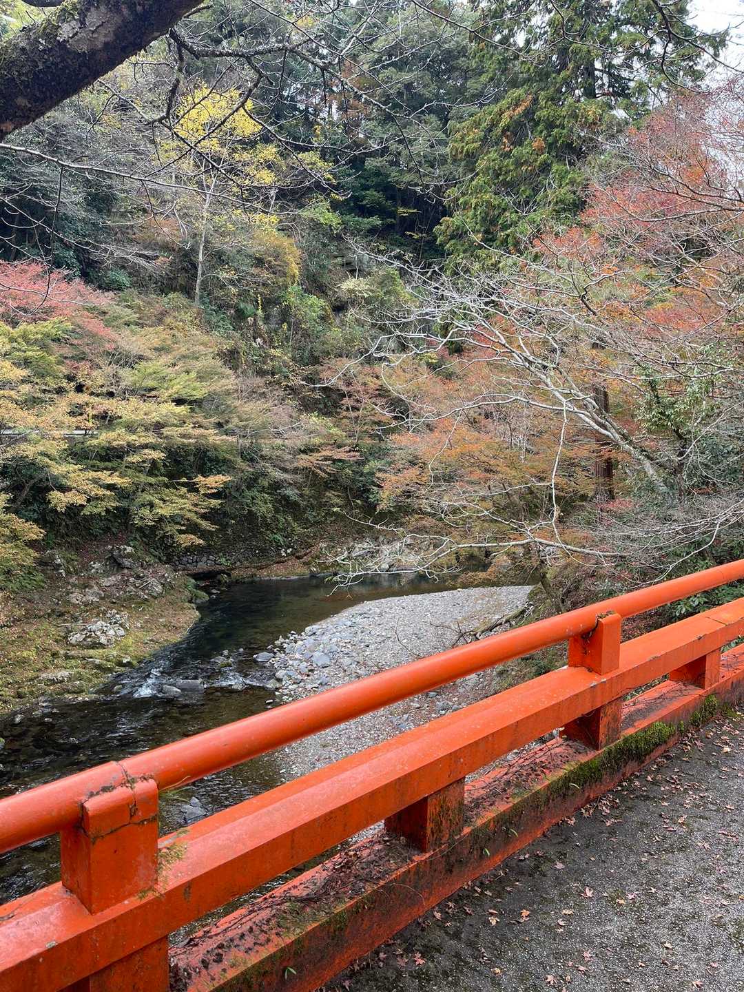 西明寺入り口の欄干から