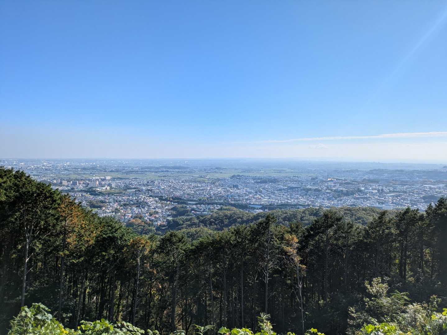 美しい