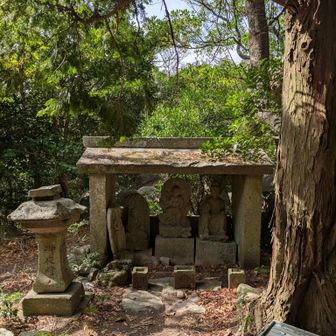 頂上のお社に着きました
必死に登って汗びっしょりです