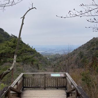 瑞宝寺公園方面へ向う途中で、一休み