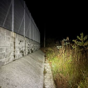 鉄塔横に出てきました