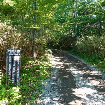 最初は車道を行く。ロープウエイは使わず