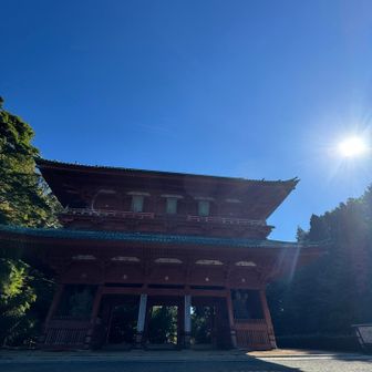 大門、とーちゃこ⛩