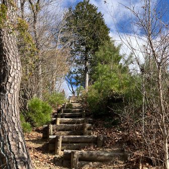 こちらは階段整備されていて登りやすい