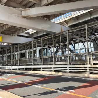 ゆりかごめが道の中央を走っています