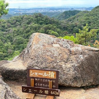 岸壁をよじ登ってたどり着いた山頂は素敵な眺望でした✨