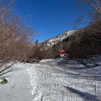 ずっと雪がこんな感じ