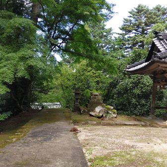 金刀比羅宮を降ります