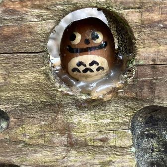 何これ？🦉フクロウ？