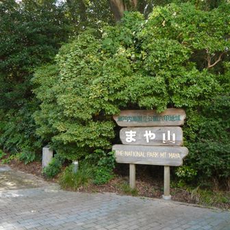 国立公園です