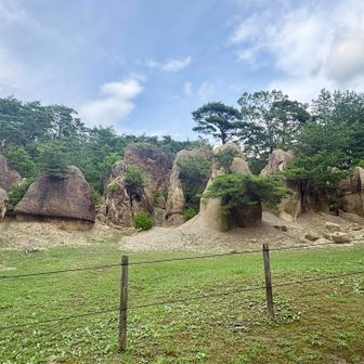 福島のカッパドキア「きのこ岩」。
コース間違えて1周しました🌀