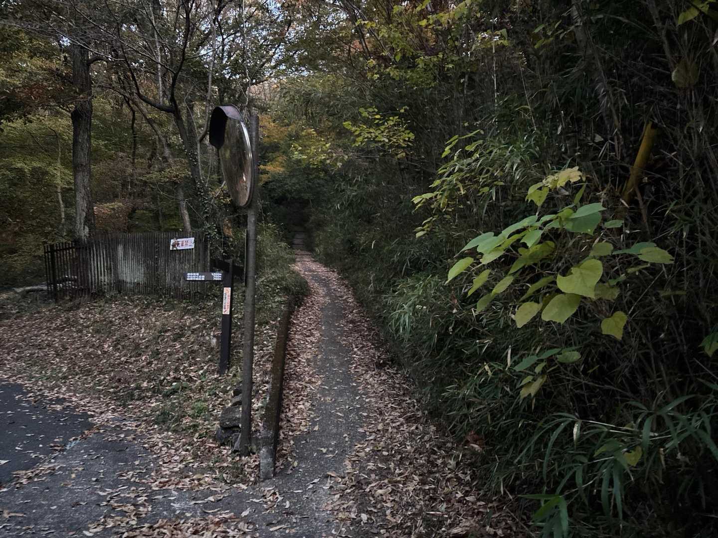 ここ登って行きました😉