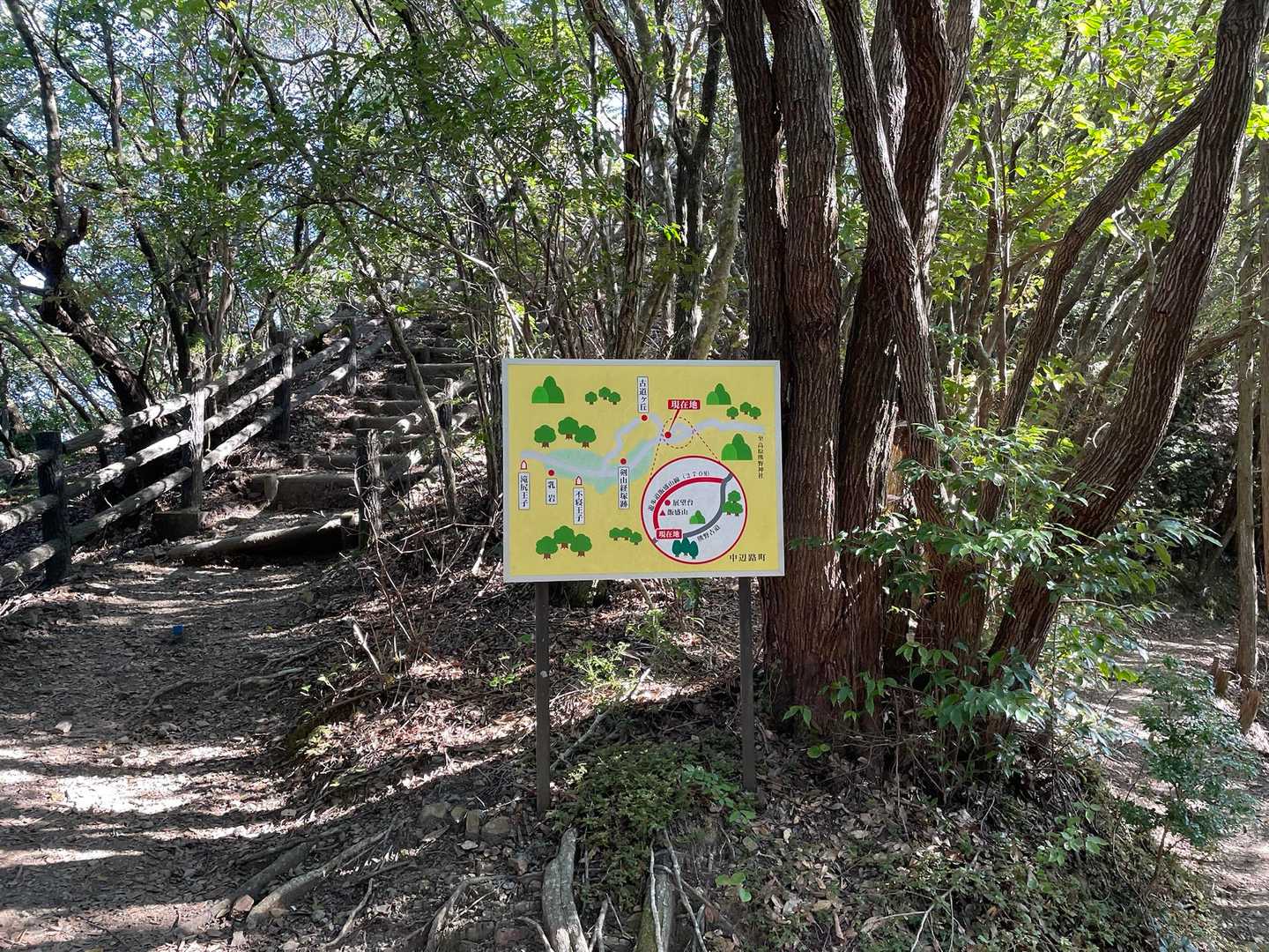 久しぶりなんで今回は階段のぼるー