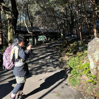 しのっちさん「音楽を聴く竜、珍しい❗️」
　　　　　　　　　　（そんなこと言っていない）
