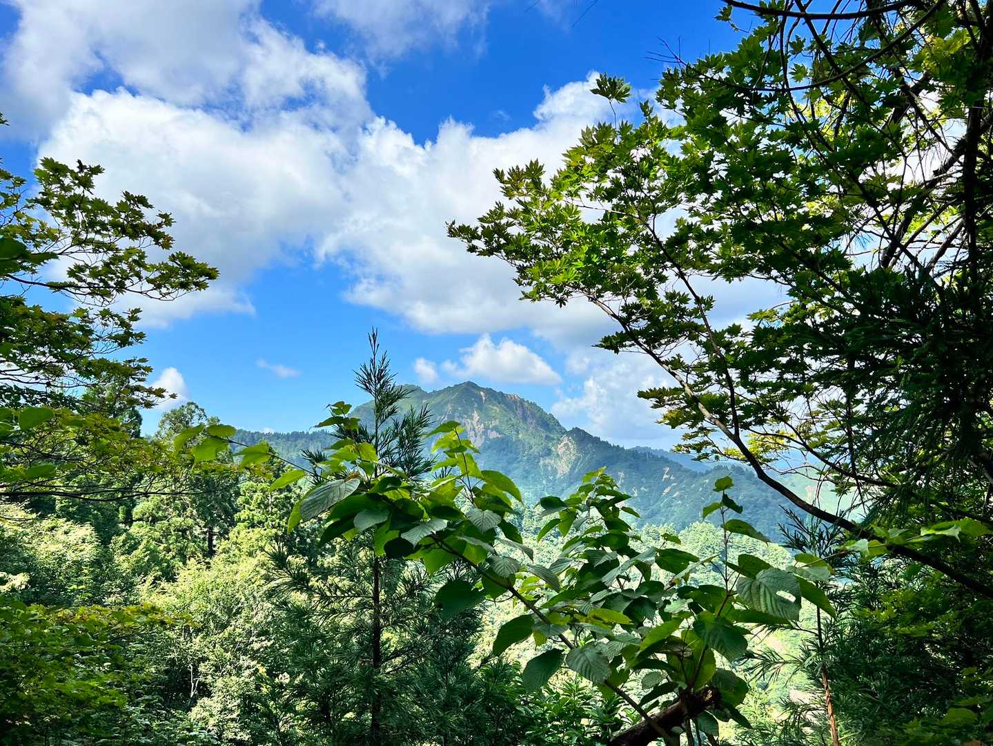 右の谷越しに俎倉山