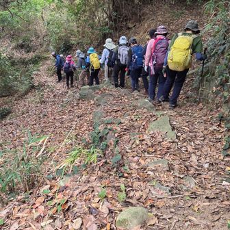 さてと下ろうかーい
登ってくる時に最後尾だったんで…🍂を跳ね退けたり、落ちた枝を片付けながら登ったよ
だって動いてないと藪蚊に刺されまくりだもんね