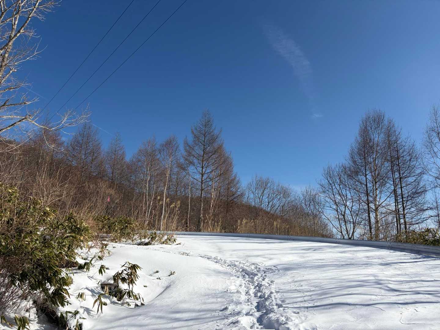 高嶺山登山道入口-長者峰 往復コースの写真