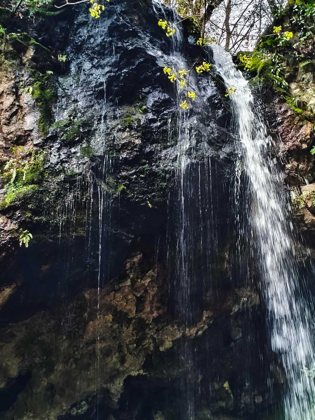 菩提寺山 周回コースの写真