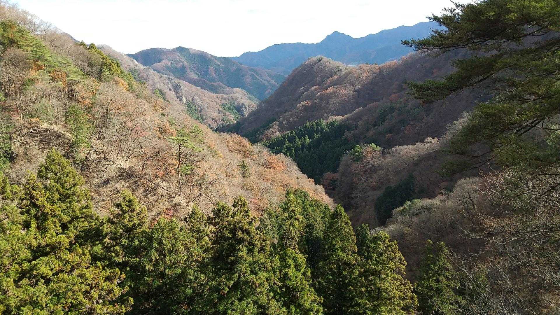 不動寺からの眺めです
奥の山は稲含山