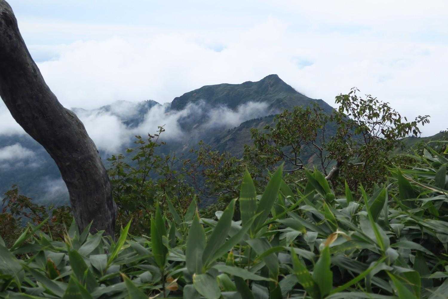 剣ヶ峰山