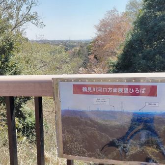 房総半島まで見えるらしい